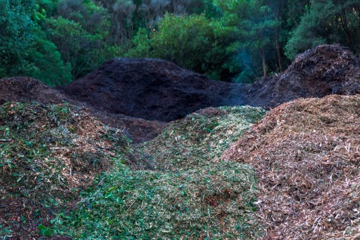 Compost piles