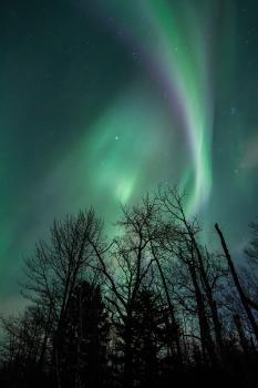 Overhead Aurora