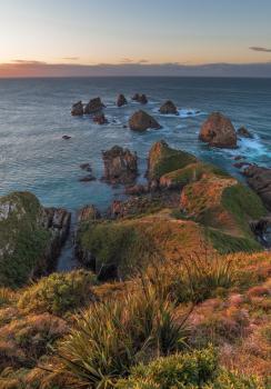 Nugget Point, The Catlins, Otago