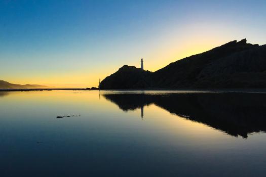 Castlepoint silhouette at dawn 