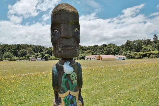 Pouwhenua carved statue Marae dandelion field
