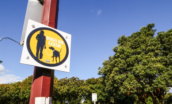 'Dogs on leash' sign board