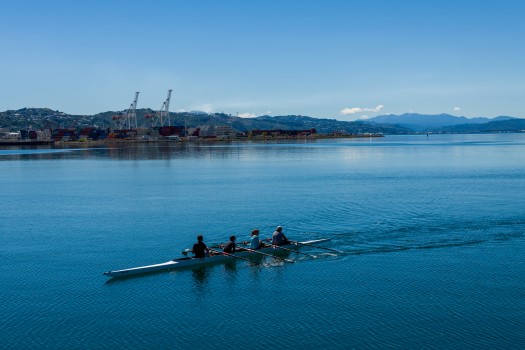 Rowers on Wellington harbour
