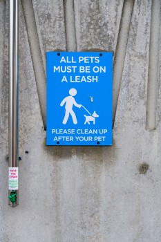 Sign pets on a leash