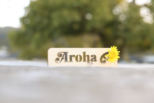 Aroha text with dandelion flower