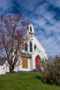 Saint Patrick's Church blossom