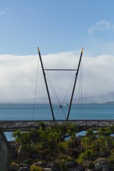 Sky bridge Wellington