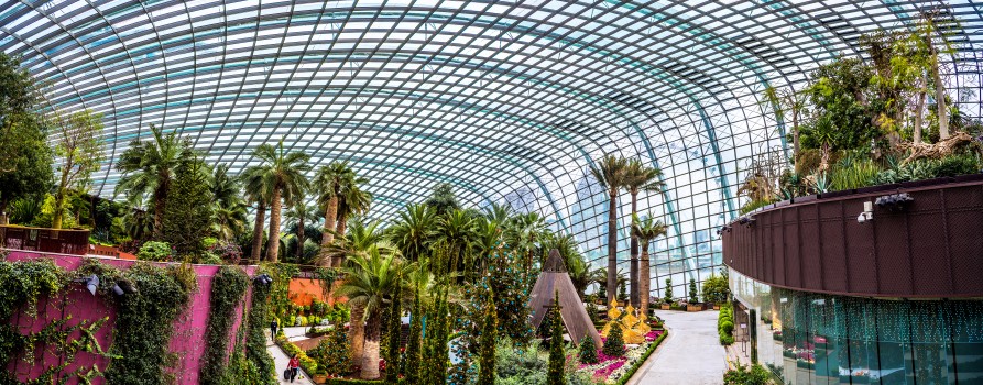 The Flower Dome, Gardens by the Bay