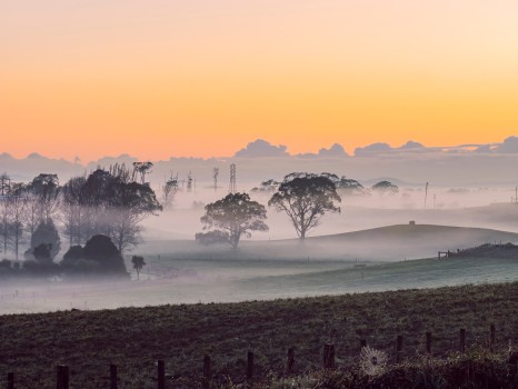 Rural Landscape with Morning Mist Fog