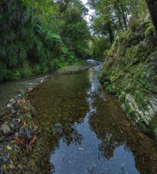  Graces Stream, Remutaka Forest