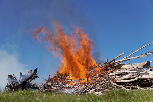 A pile of dead wood on fire