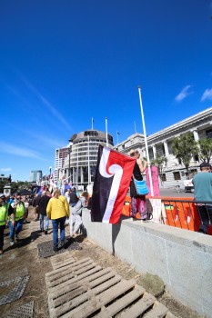 Woman holding Maori flag - Convoy 2022