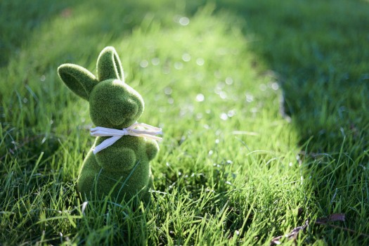 Green bunny with white bow tie in the grass