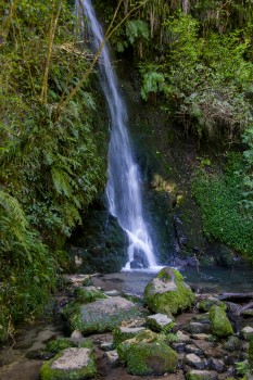 Waterfall in the bush