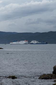 Bluebridge and Interislander ships