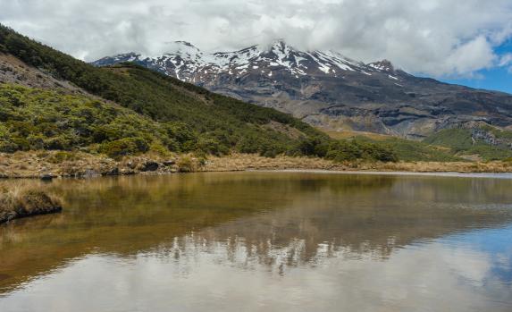 Mt Ruapehu from Lake Surprise