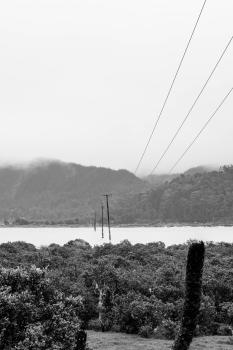 Pauanui B&W view