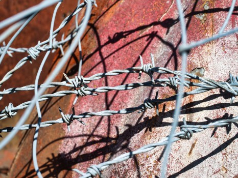 Tangle of barbed wire