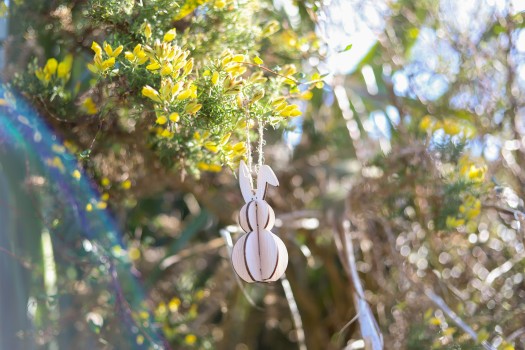 Wooden rabbit tag dangling with the flowers