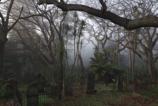 Foggy morning in the cemetery