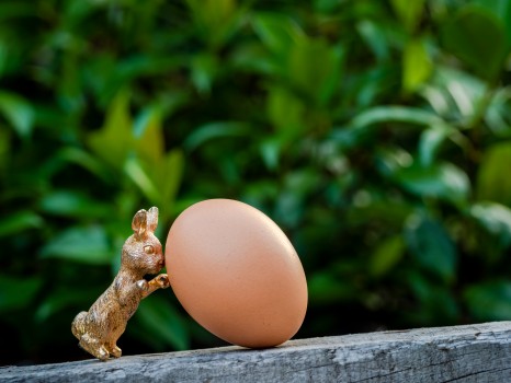 Easter Egg Hunt Bunny Covid Creative