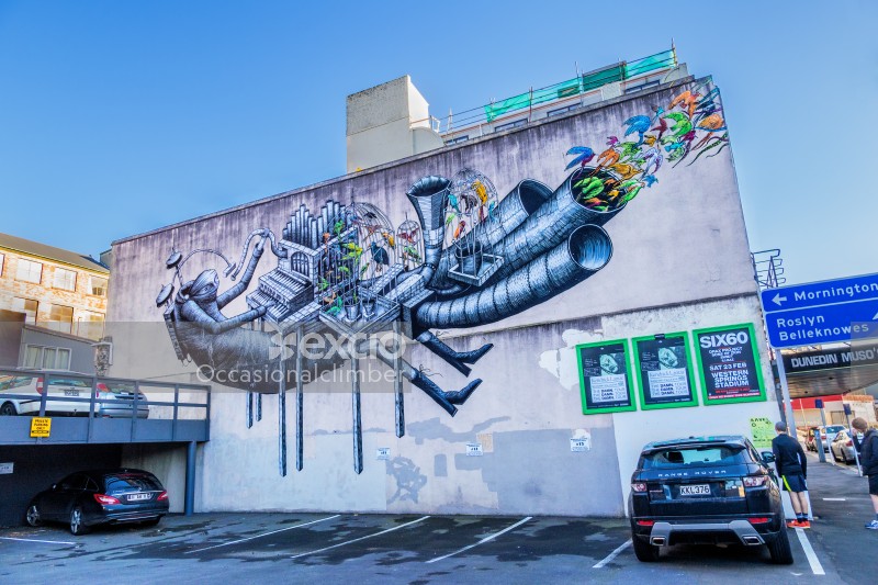 Dunedin street art