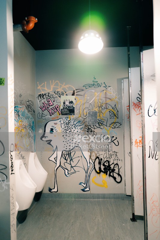 Bathroom decorated with graffiti and posters