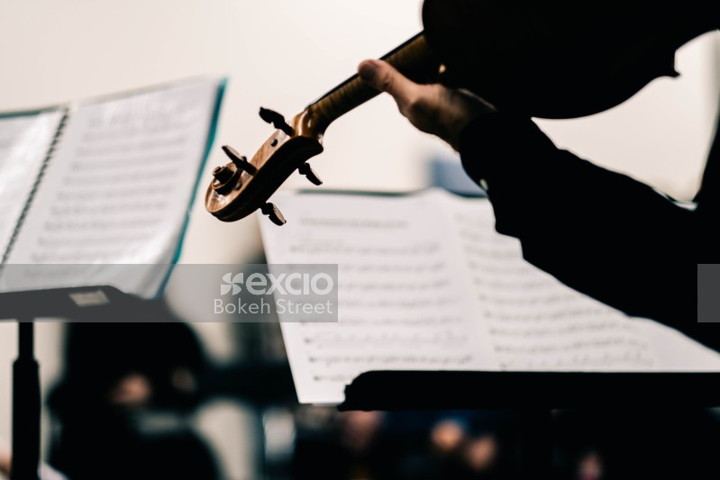 Musician performing with violin from score sheet