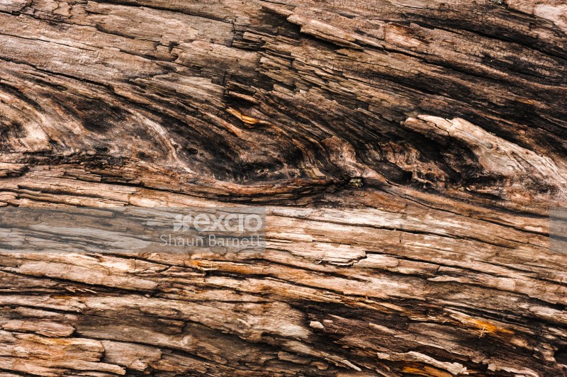 Log bark, Otaki River