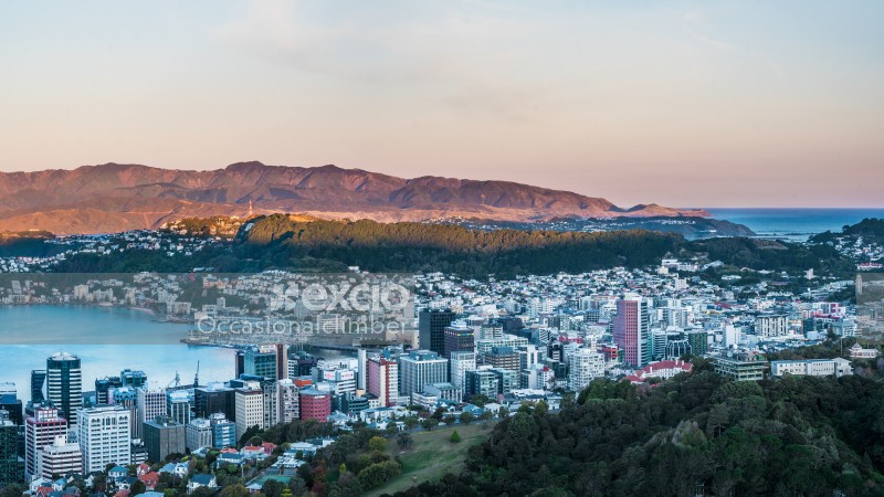 Wellington city at sunset