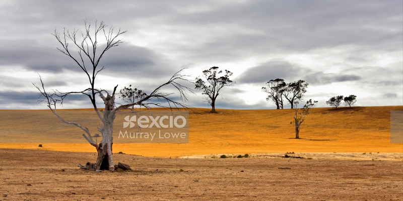 Drought in Tasmania 