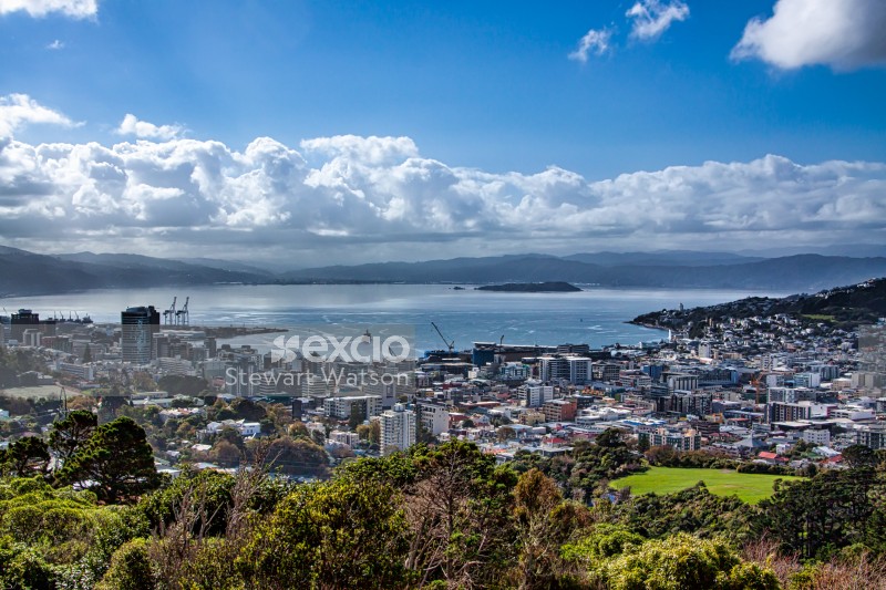 Wellington city panorama