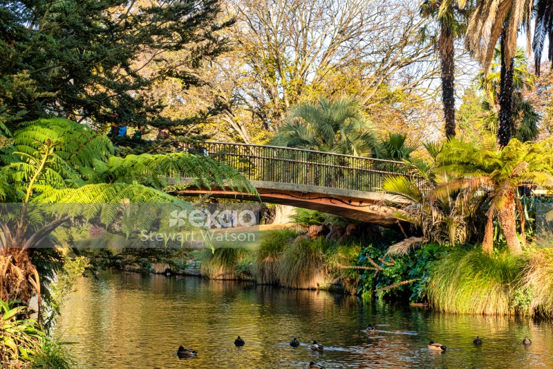 Bridge in the Botanical gardens