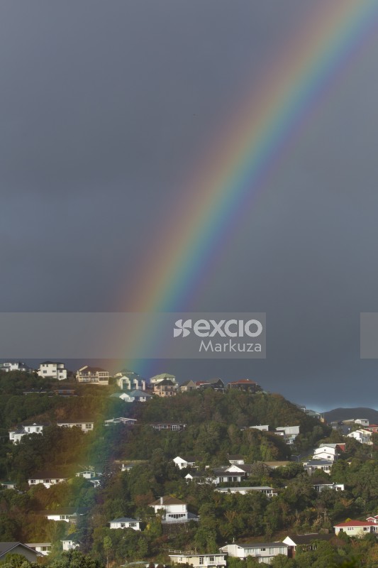 Rainbow in the hills of Wellington