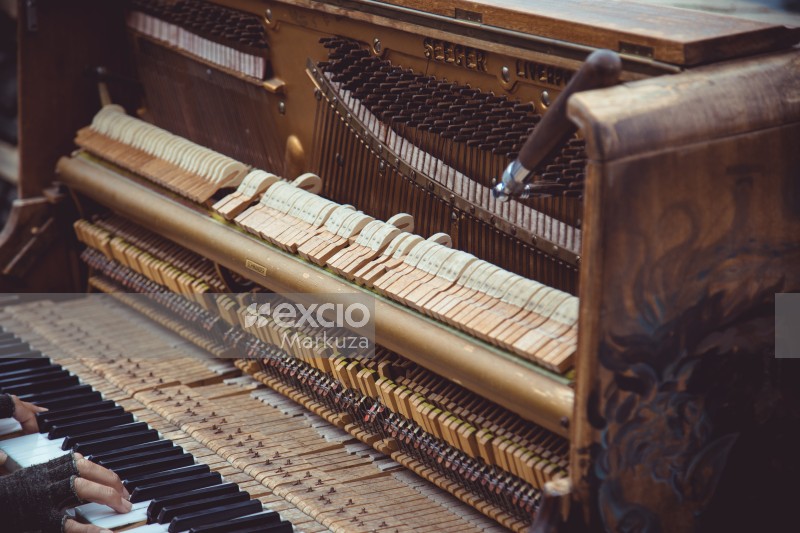 Old piano keys, strings and hammers