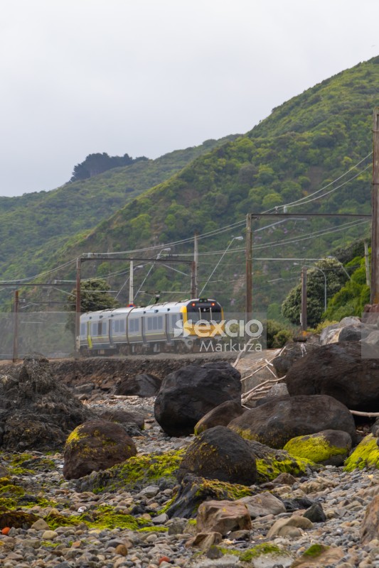 Coastal train and algae on rocks