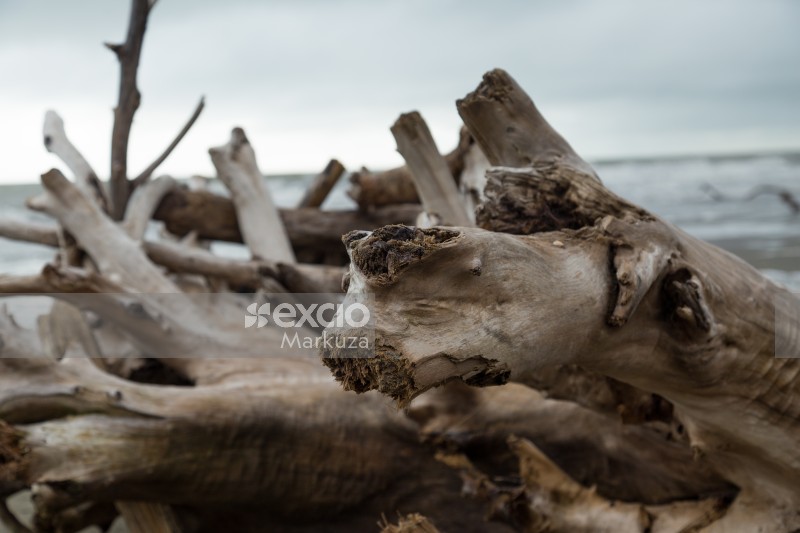 Stacked driftwood