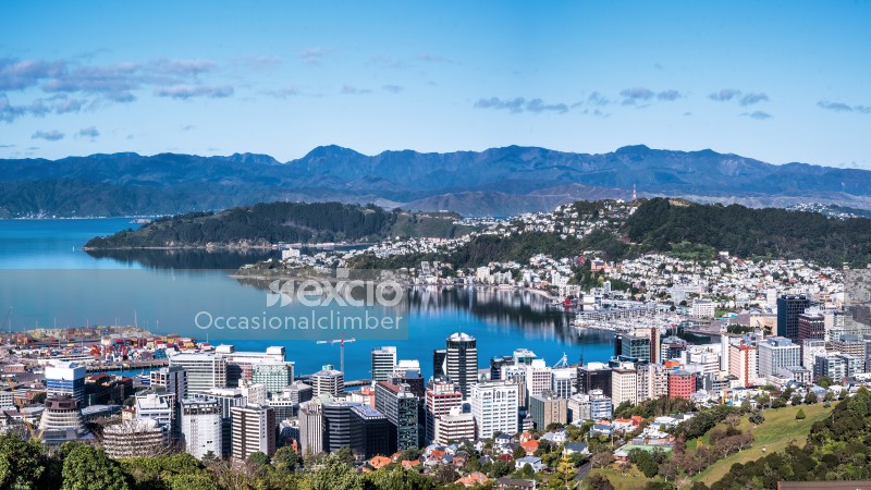Wellington city and harbour