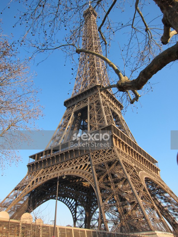 Eiffel tower blue sky and tree branches Paris France