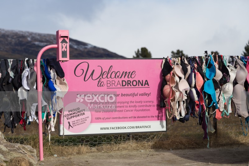 Bradrona supports the NZ breast cancer foundation