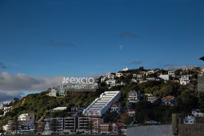 Buildings on hills in Wellington
