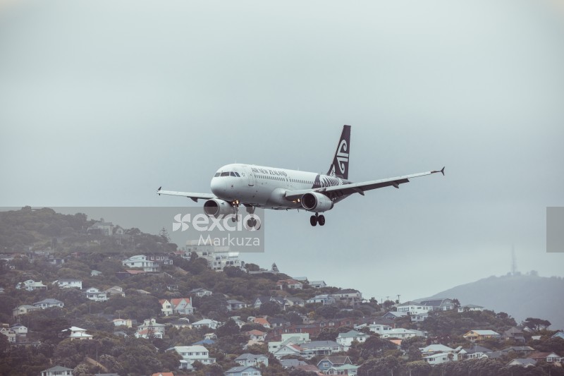 AIR New Zealand airplane in the grey sky