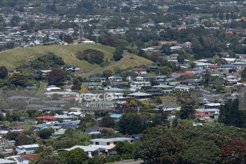 New Plymouth's green suburbs