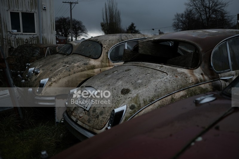 Old rusted and abandoned mouldy cars in Christchurch