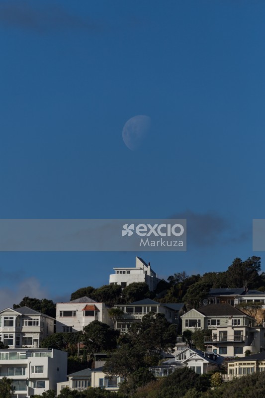 Wellington moon rise and houses on the hills