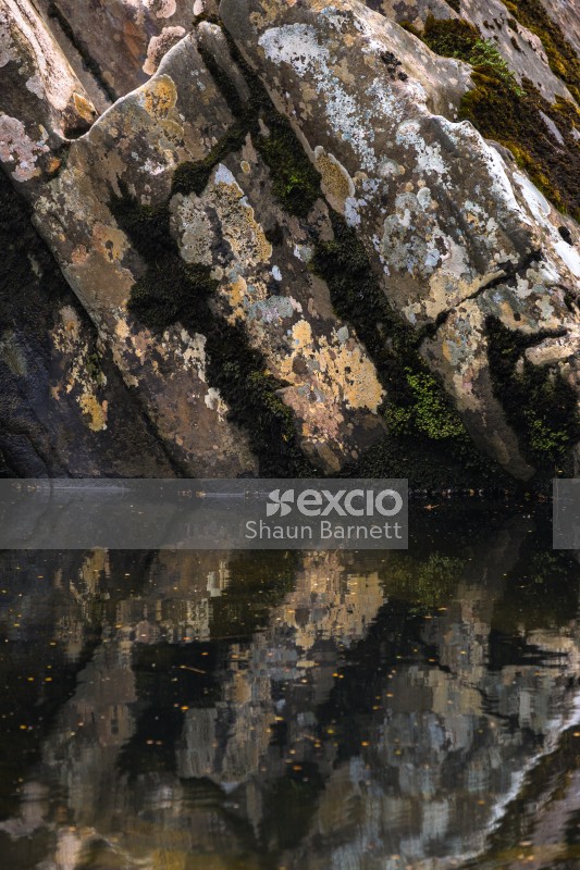Reflections, Cave Brook, Heaphy