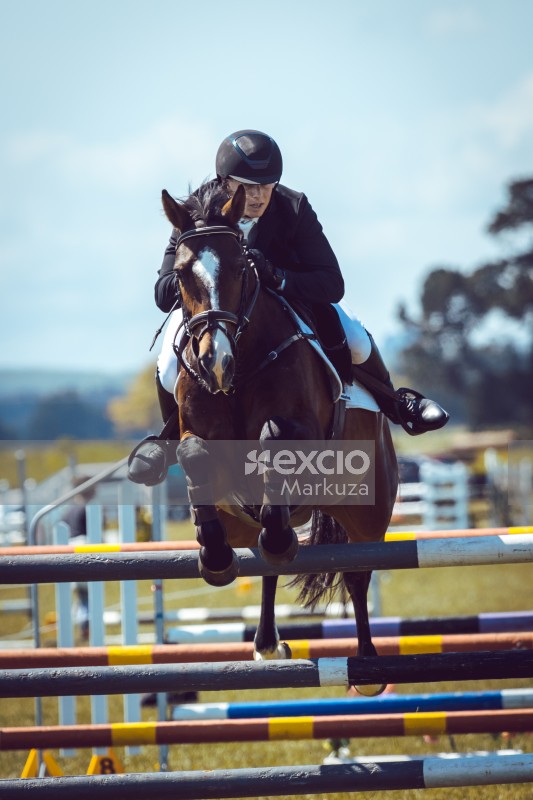 Masterton Equestrian Jumping 2019