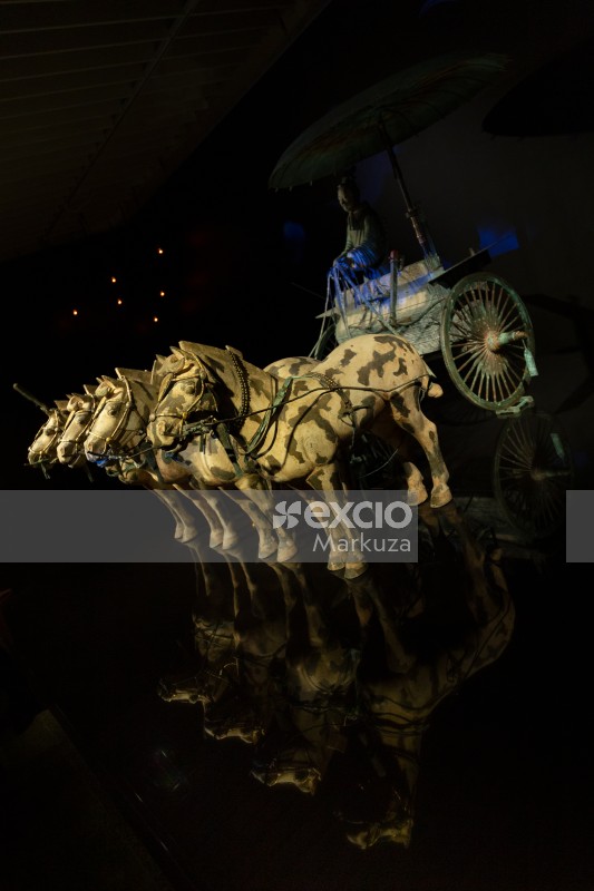 Terracotta horse chariot reflection