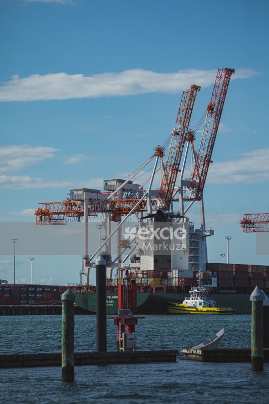 Tauranga port loading cranes
