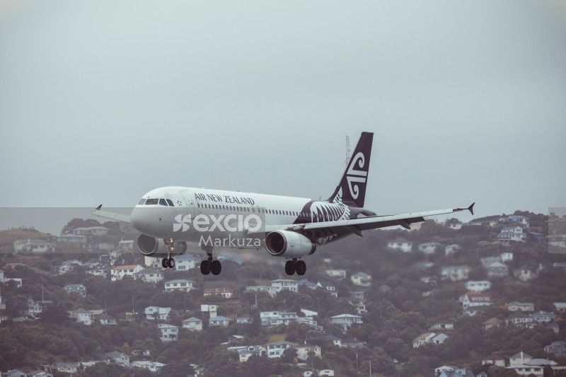 AIR NZ airplane in the sky over the city